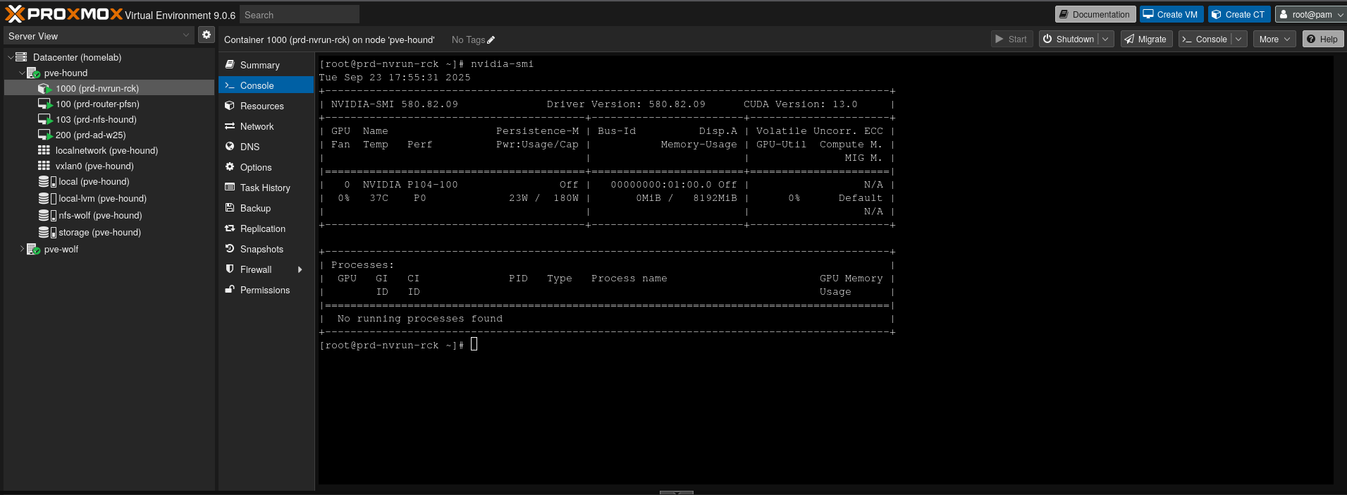 Nvidia GPU Runner